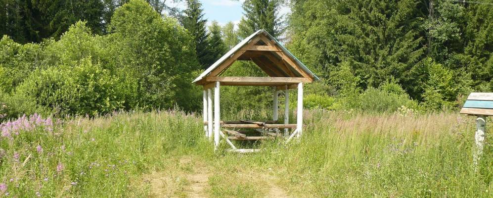 
            Фотография Губино