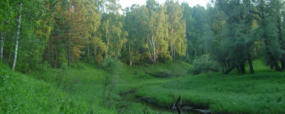 
            Фотография Тюрмeтяков