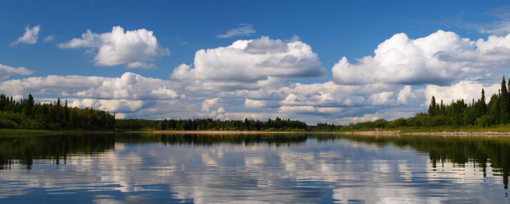 
            Фотография Мальцевгрезда