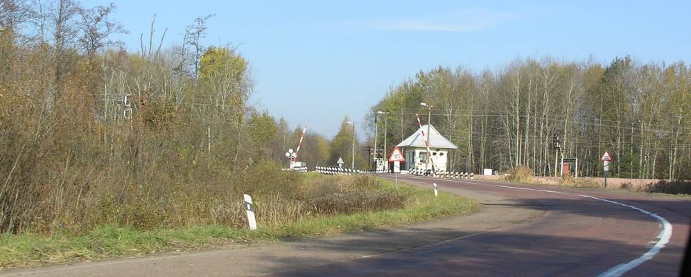 
            Фотография Жабче