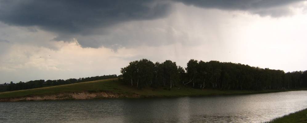 шахи алтайский