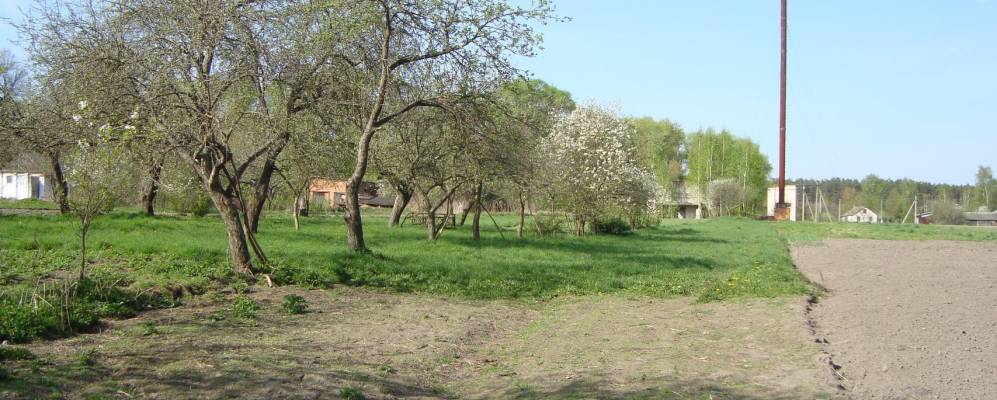 Фотография Калиевки