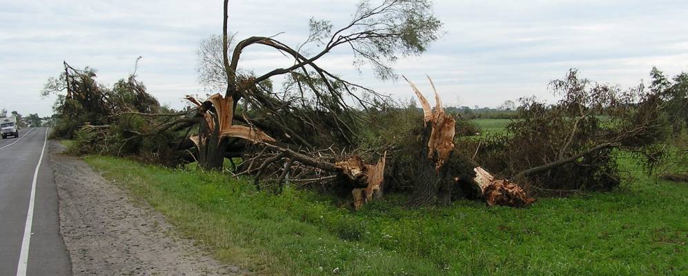 Фотография Турийска