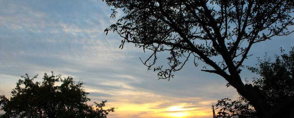 Фотография Весново