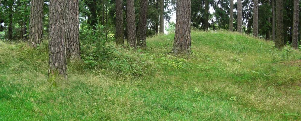 
            Фотография Аскима