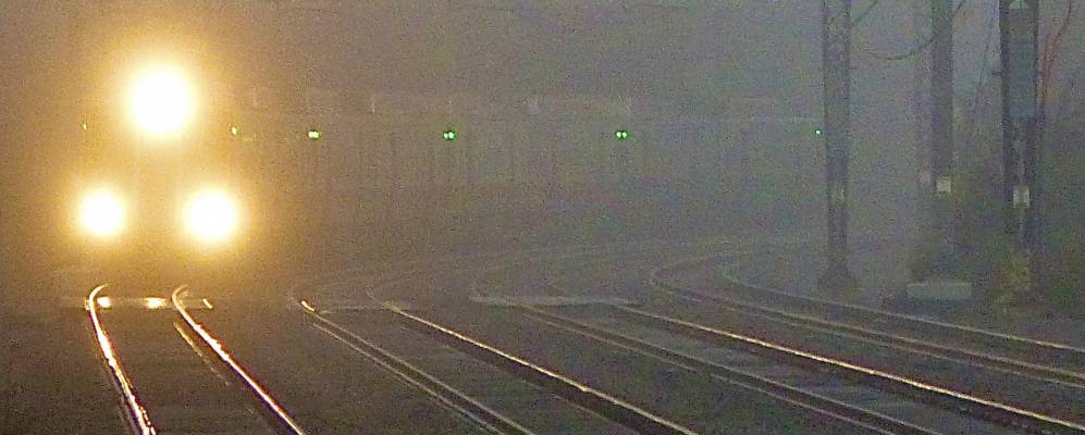 
            Фотография Дарина