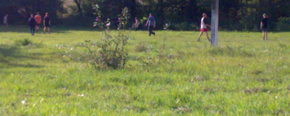 
            Фотография Луковца-Журовского