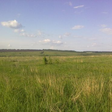 Совхоз Заря