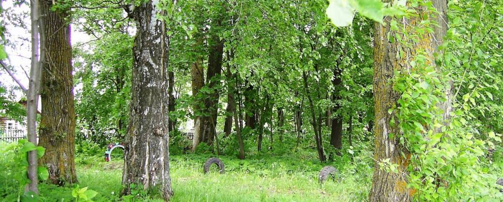 
            Фотография Надеждино