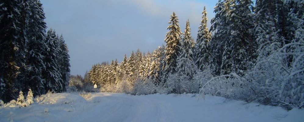 
            Фотография Заболотья