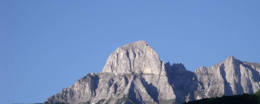 
            Фотография Ньардо