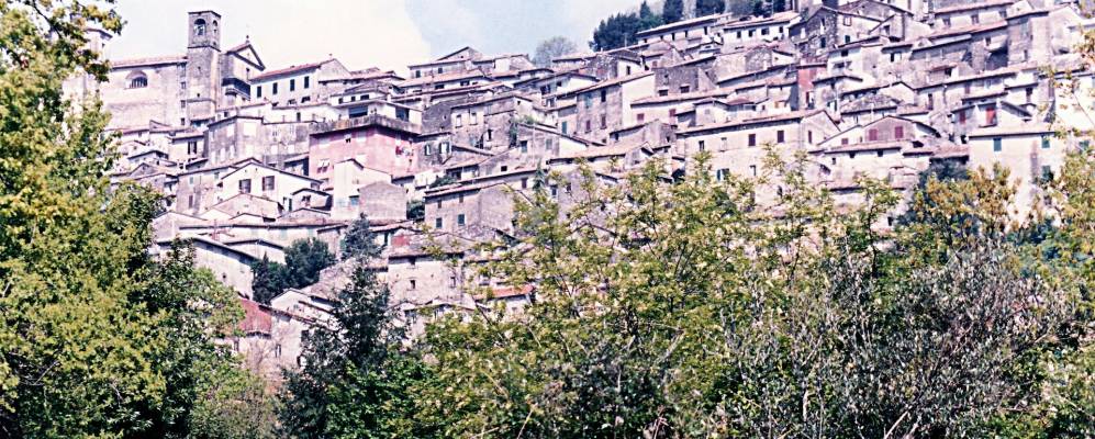 
            Фотография Патрикы