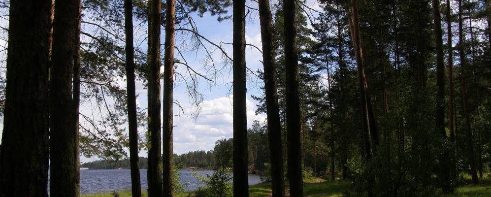 
            Фотография Малой Доры