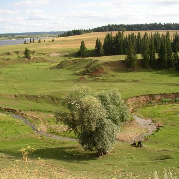 Старая Тушка