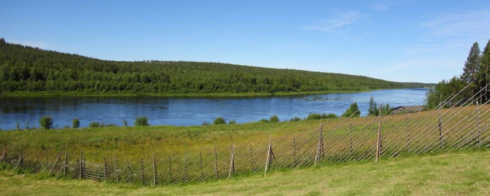 Фотография Патокоски