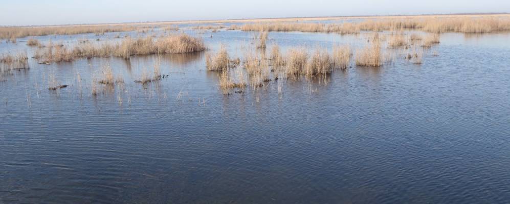 Фотография Реданта