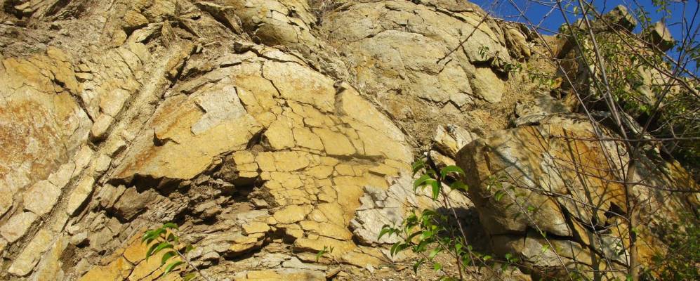 
            Фотография Оленовки