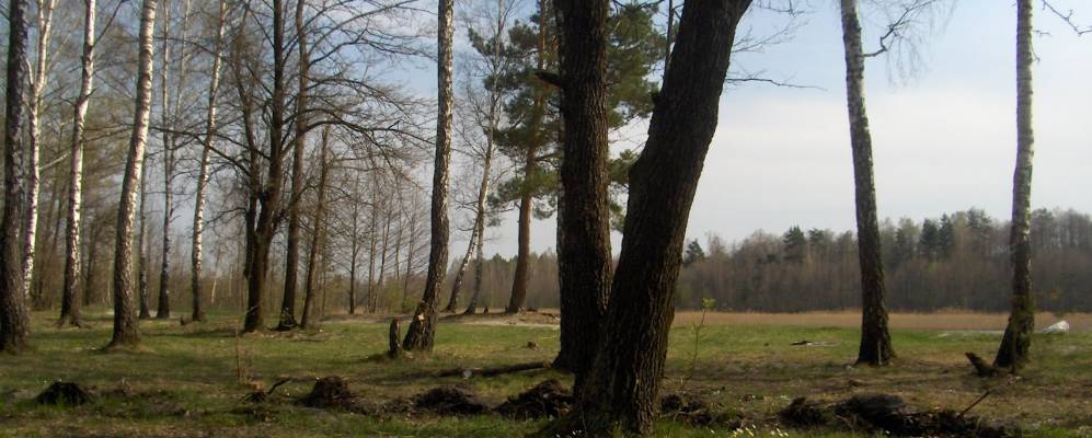 
            Фотография Товща