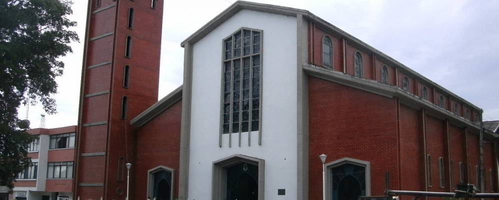 
            Фотография Торо