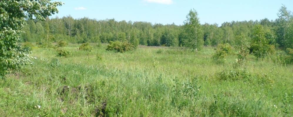 Фотография Поповки Второй