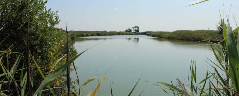 
            Фотография Толмача