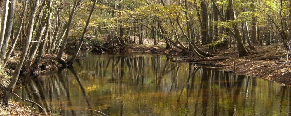 
            Фотография Бойлинг Спрингса