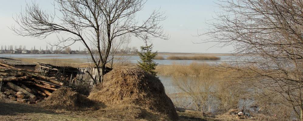 
            Фотография Незвира