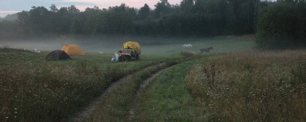 
            Фотография Криухи