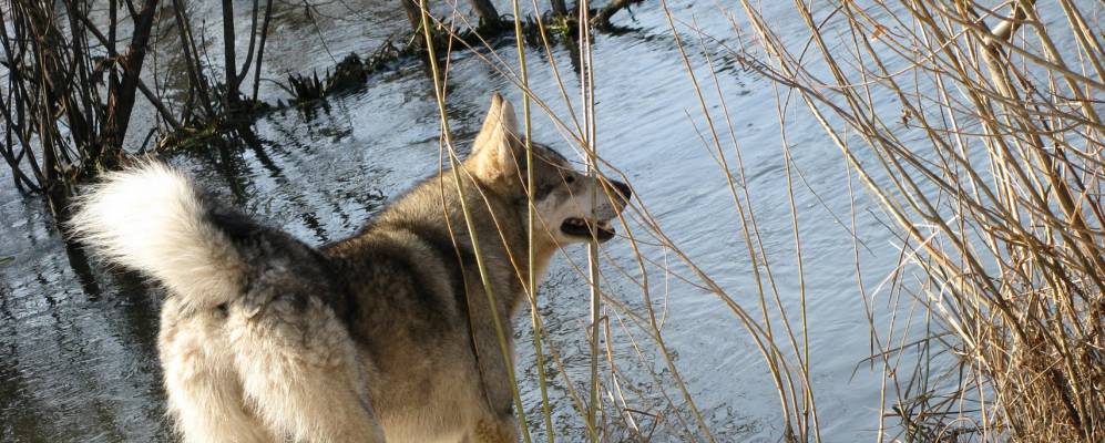 
            Фотография Саузбаша