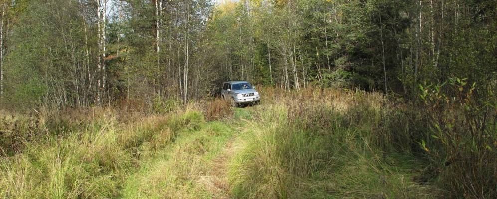 
            Фотография Никоновы Горы