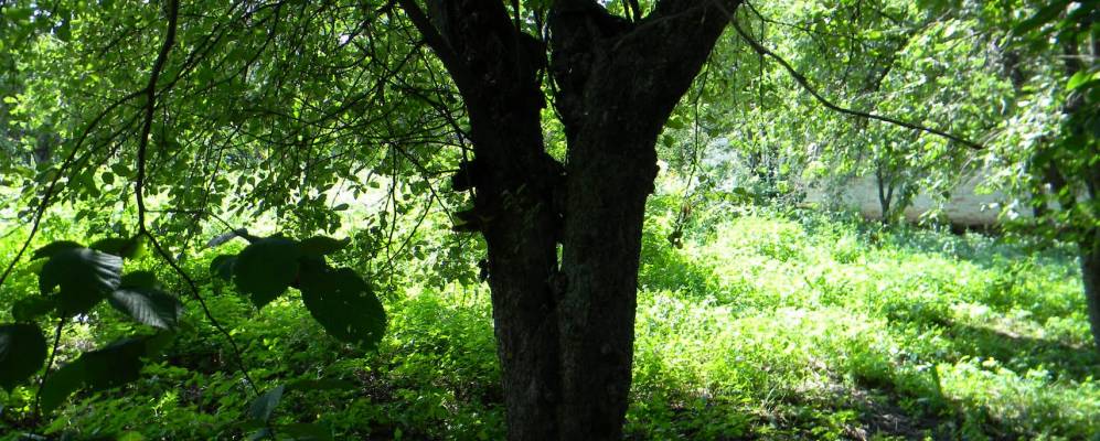 
            Фотография Чернецкого