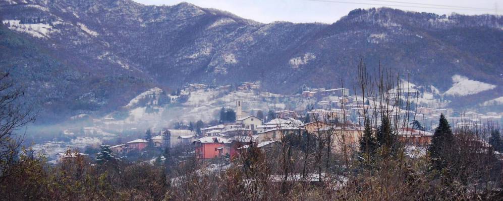 
            Фотография Соризоле