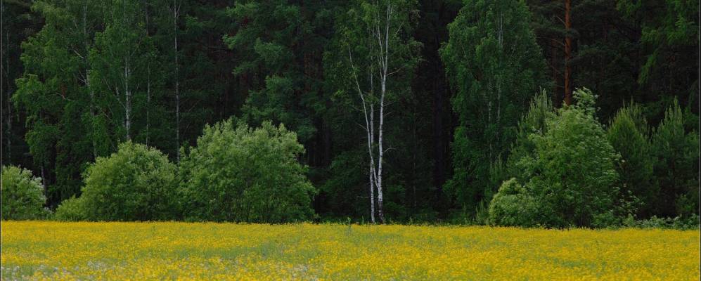 
            Фотография Карая