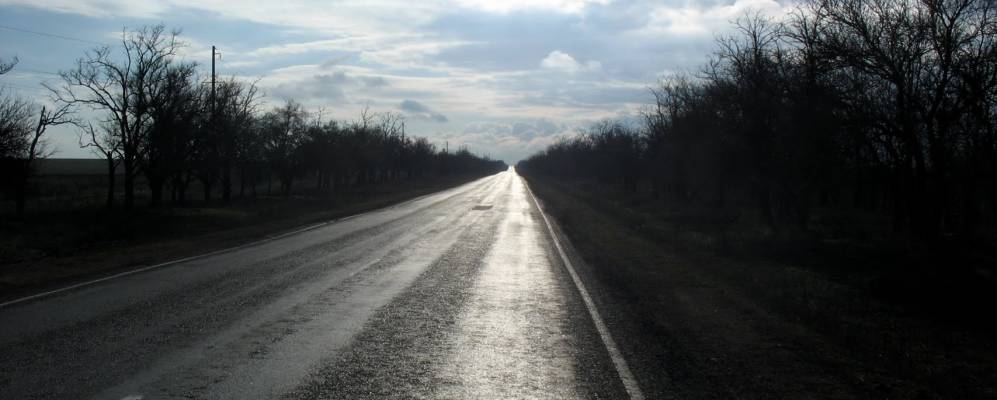 
            Фотография Ветрянки