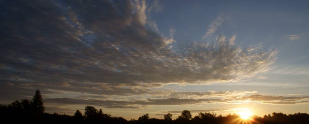 
            Фотография Альгинки