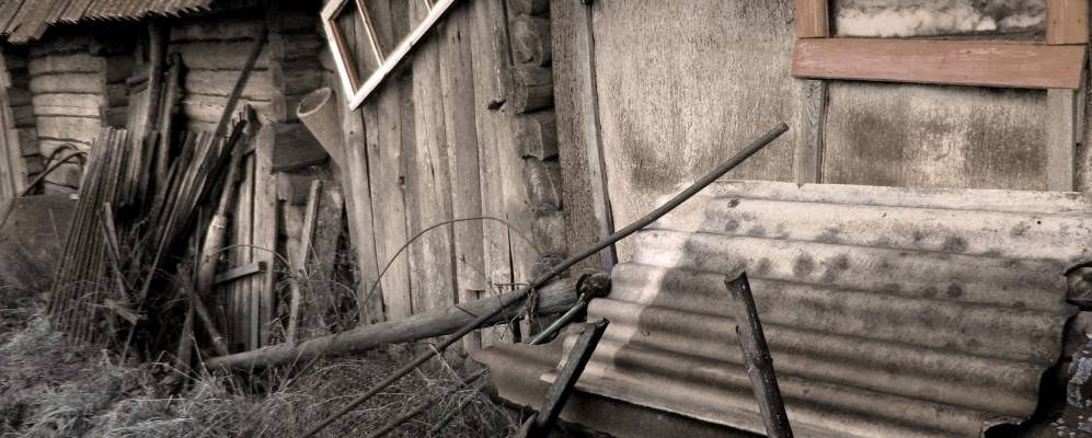 
            Фотография Отрубка