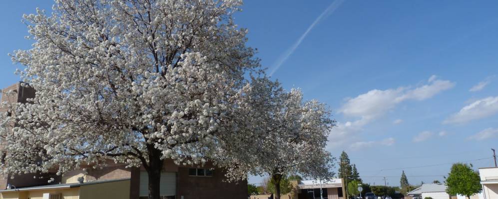 
            Фотография Тафт Хайтс