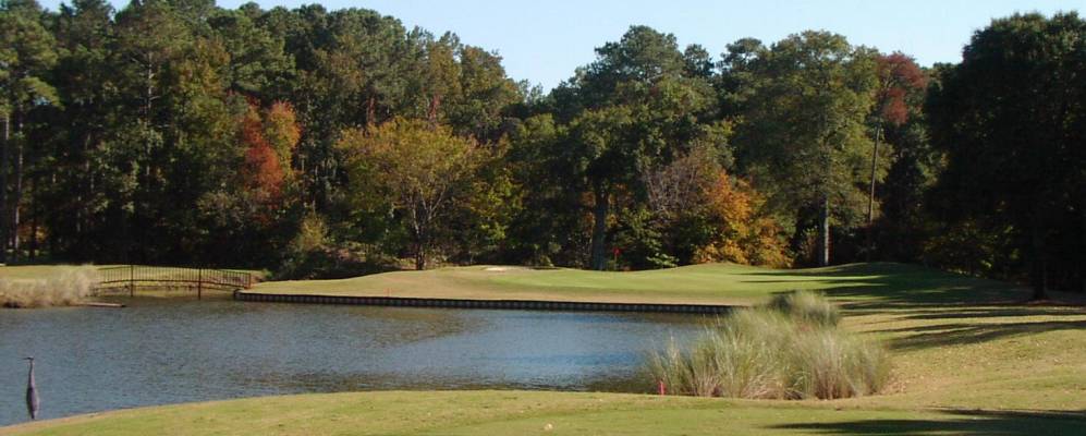 
            Фотография Сити-сада