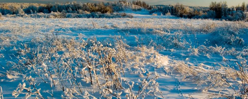 
            Фотография деревни Куйворы