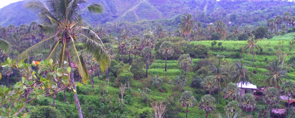 
            Фотография Тианьяр