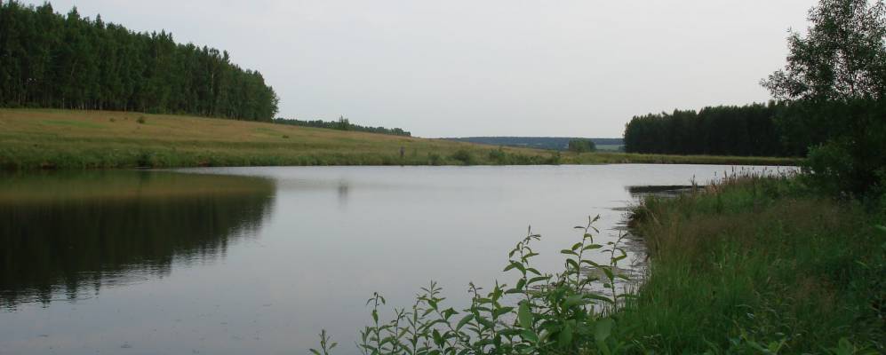 
            Фотография Пряхино