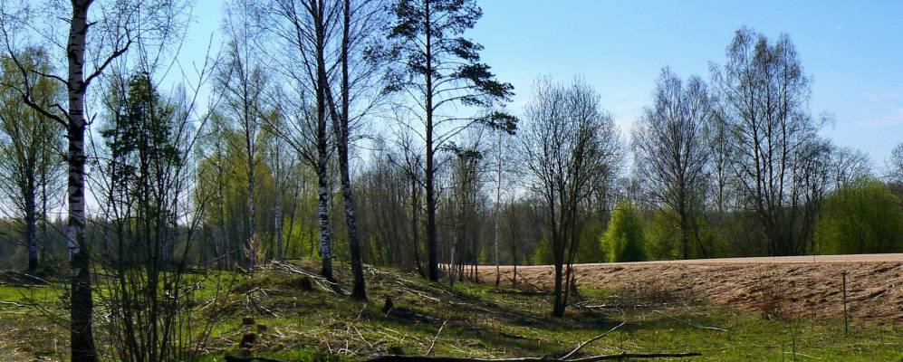 
            Фотография деревни Липки