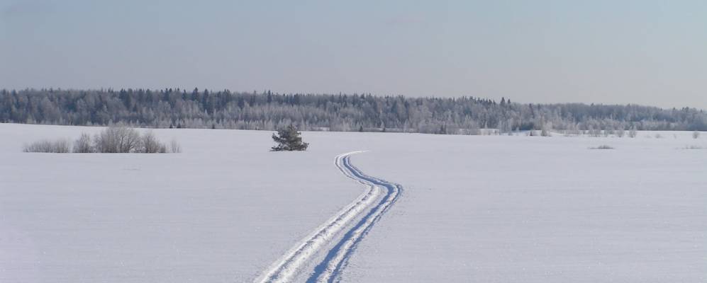 
            Фотография Коркино