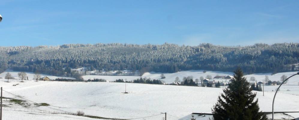 
            Фотография Морто