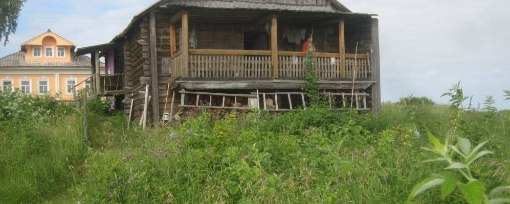 
            Фотография Болота