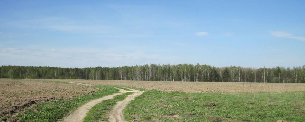 
            Фотография Воробьевки