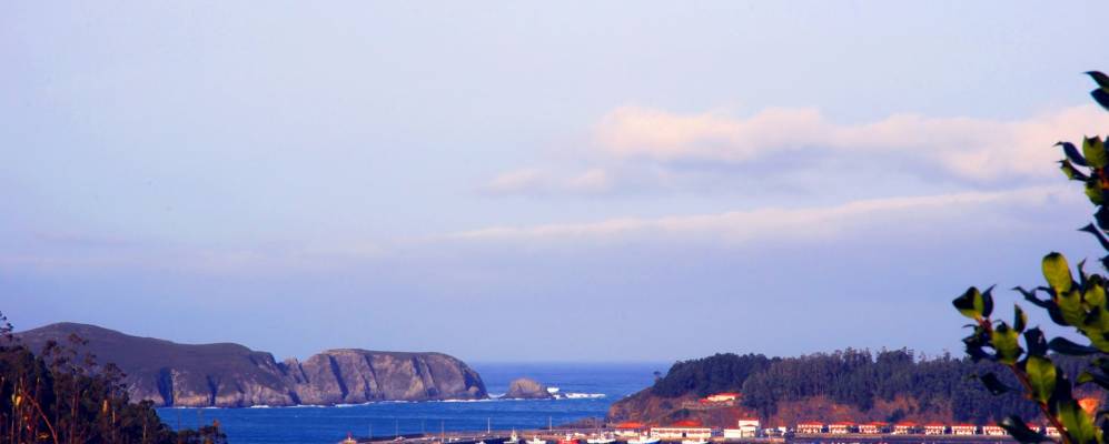 
            Фотография Седеиры