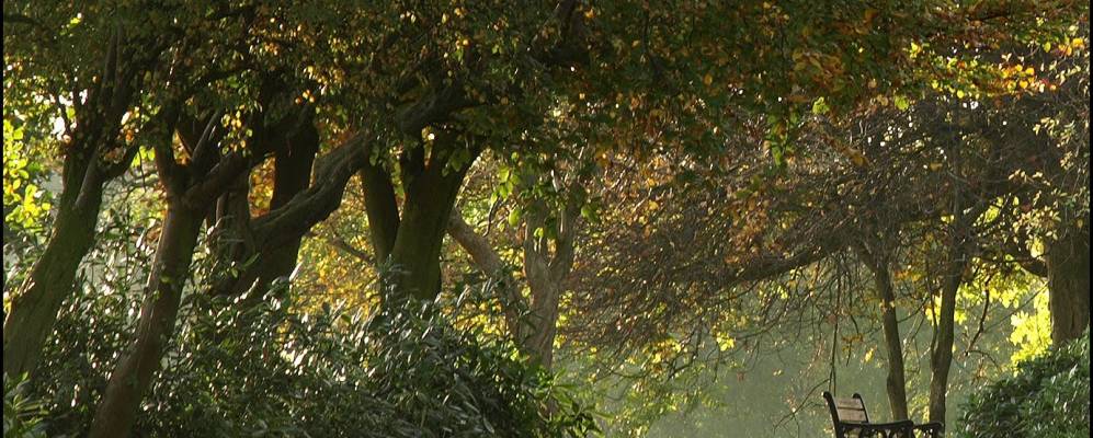 
            Фотография Фэйлсуорта