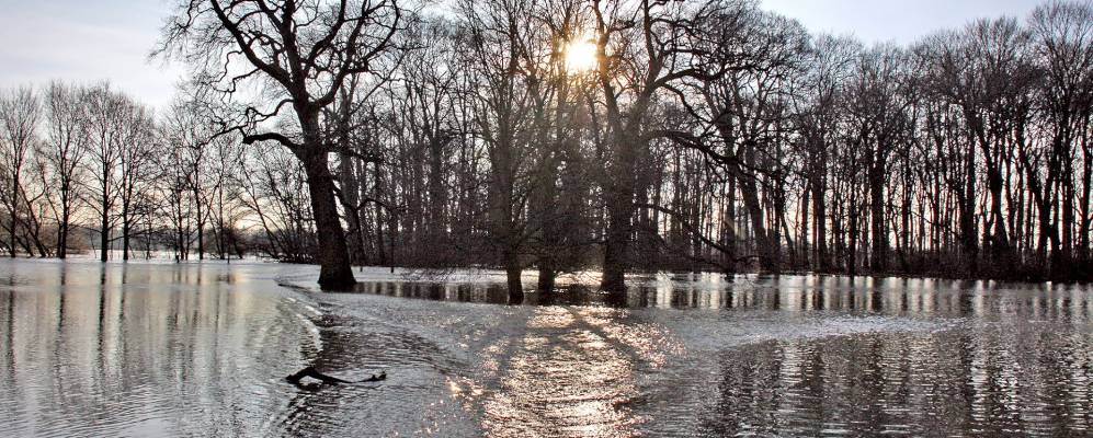 
            Фотография Мариенвердер