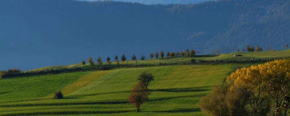 
            Фотография Ронцоне